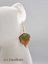 Afbeelding in Gallery-weergave laden, BO25-467